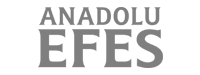Anadolu Efes